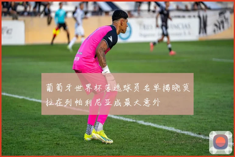 葡萄牙世界杯落选球员名单揭晓莫拉在列帕利尼亚成最大意外