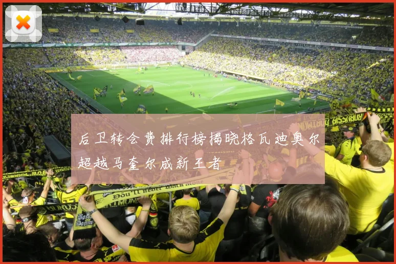 后卫转会费排行榜揭晓格瓦迪奥尔超越马奎尔成新王者