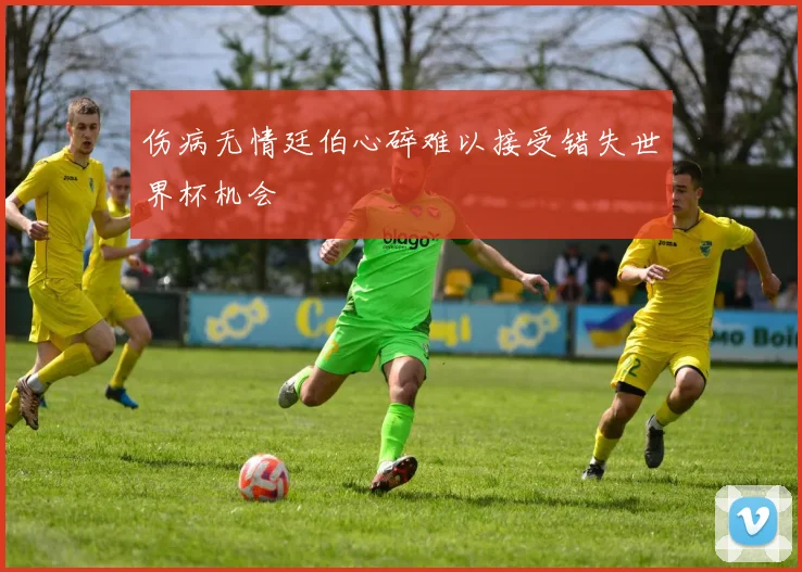 伤病无情廷伯心碎难以接受错失世界杯机会